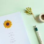 Suatelier | Flower Dance