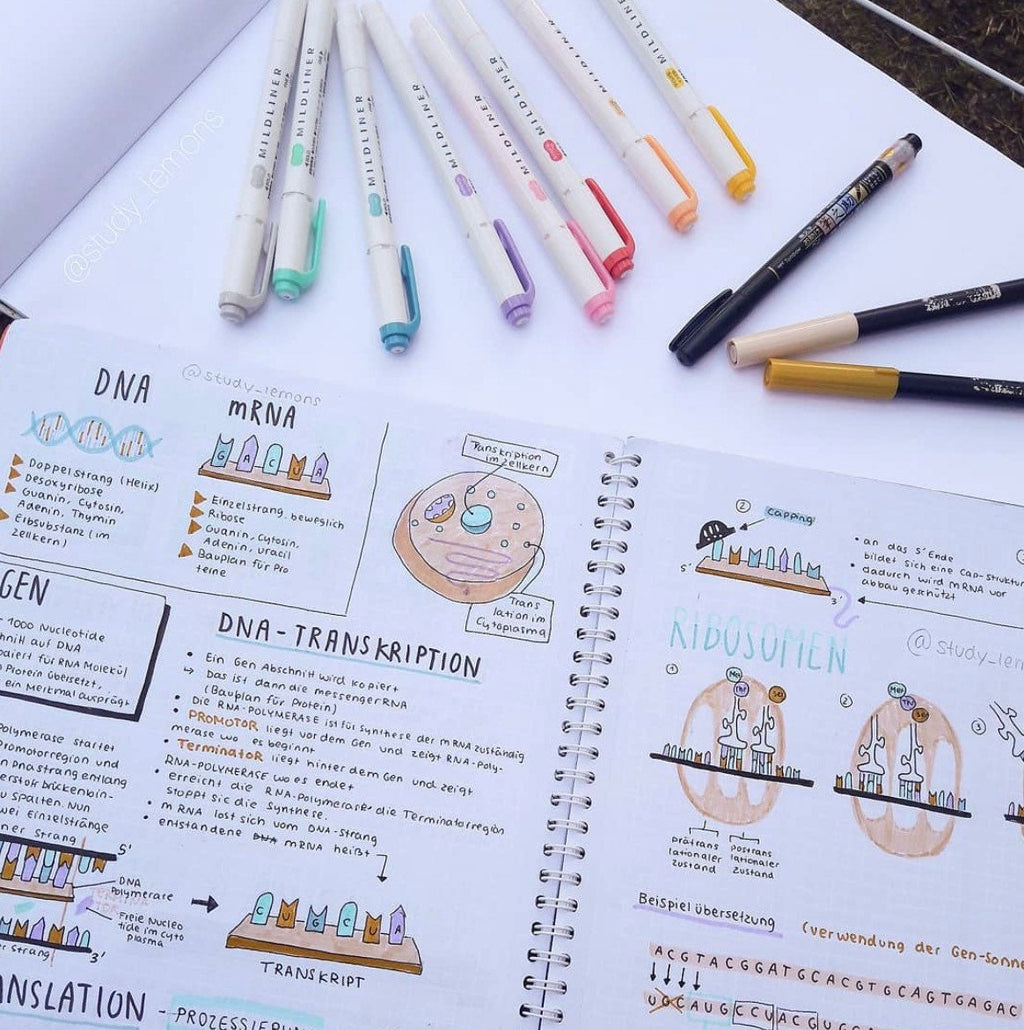 Zebra | Pen Mildliner Double Ended Highlighter