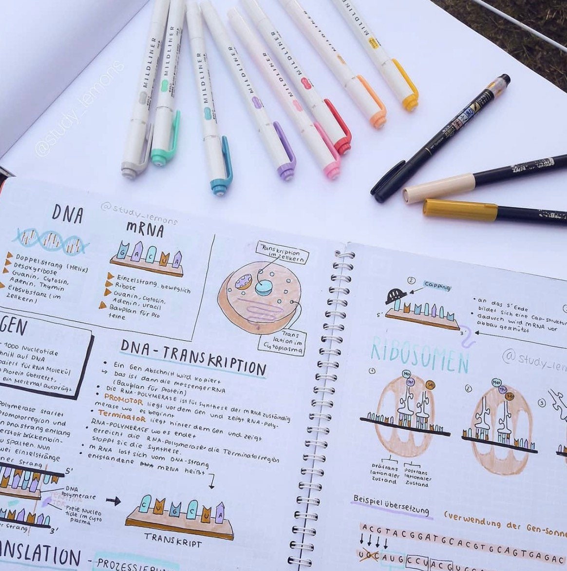 Zebra | Pen Mildliner Double Ended Highlighter