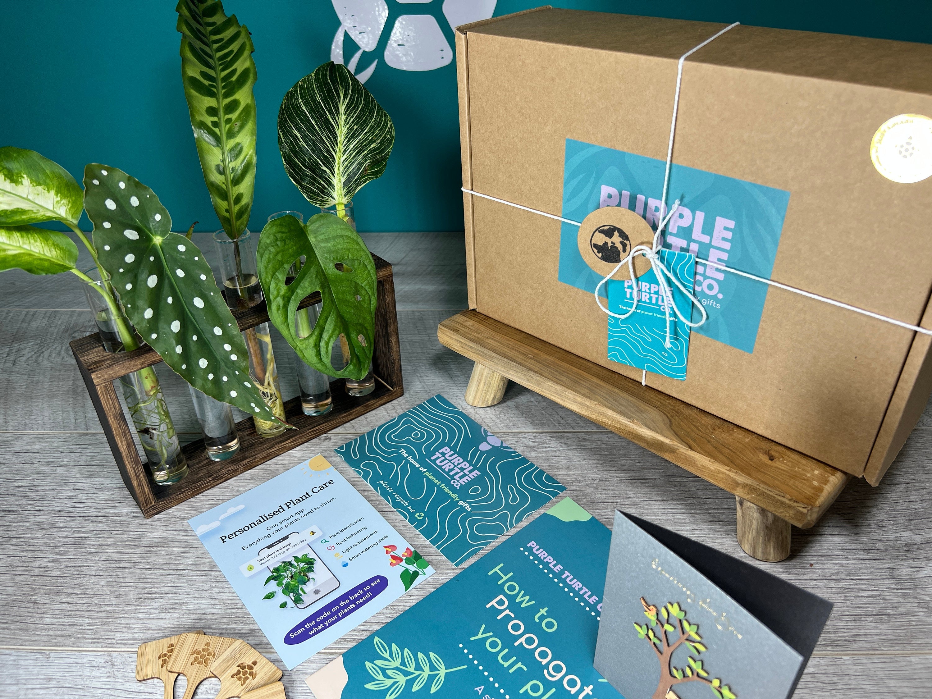 Plant Propagation Gift Set #7
