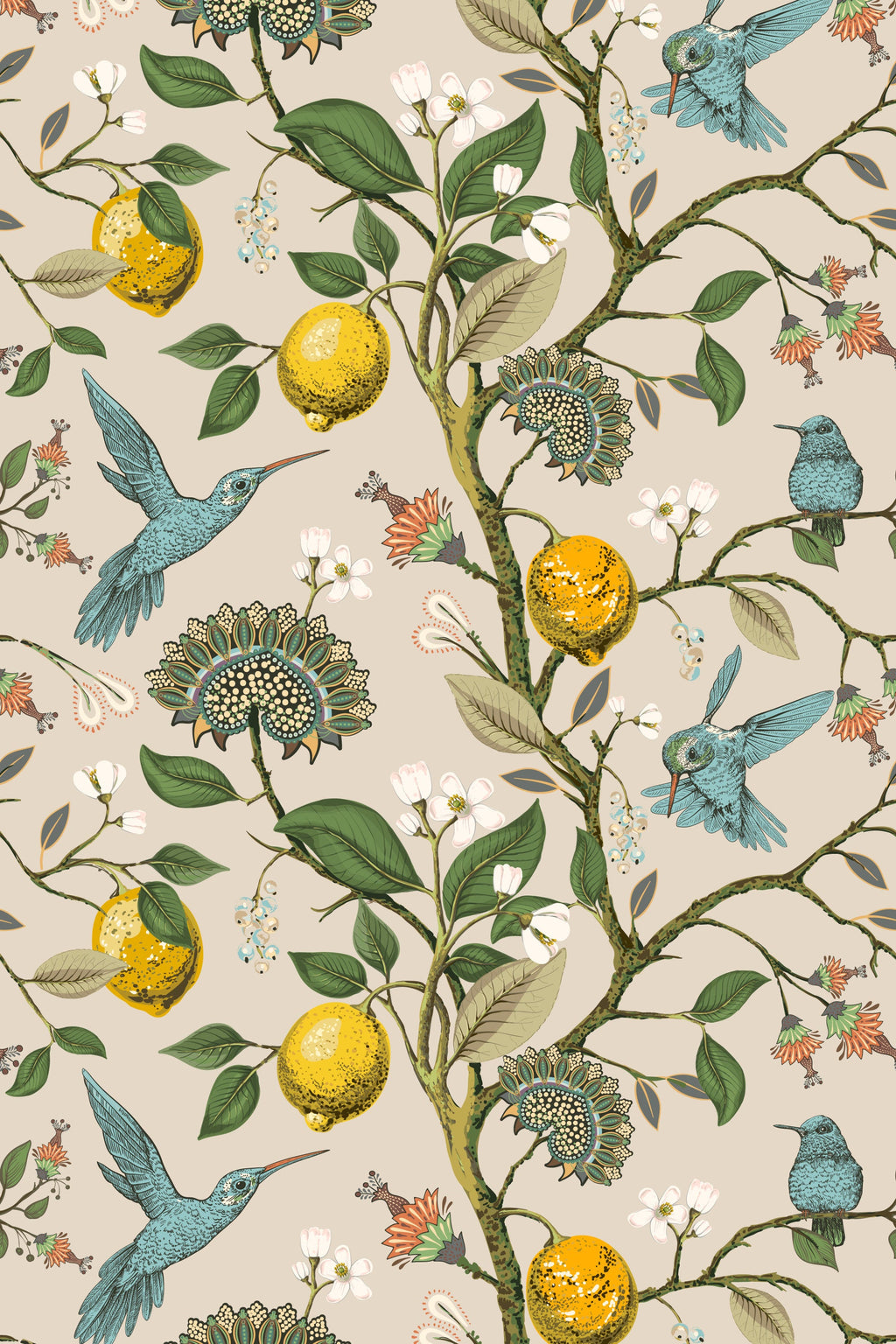 Lemon Grove Hummingbirds Peel and Stick Wallpaper - Removable Self-Adhesive for Nursery or Kitchen