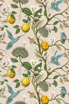 Lemon Grove Hummingbirds Peel and Stick Wallpaper - Removable Self-Adhesive for Nursery or Kitchen