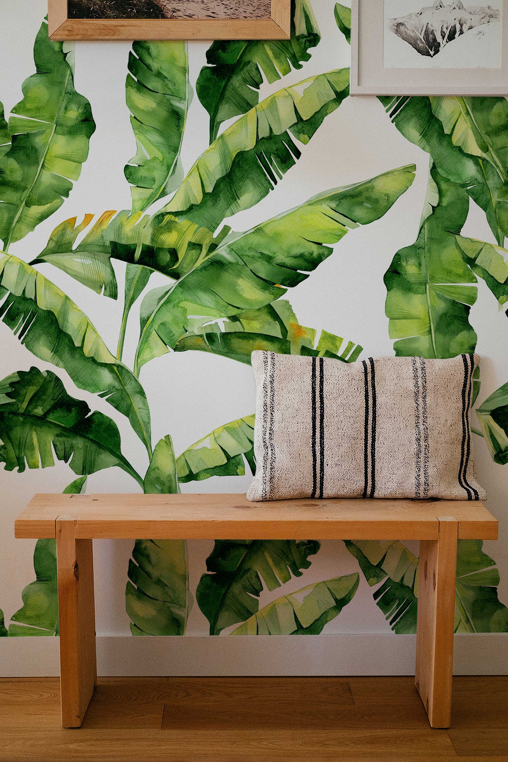 Banana Leaf Wallpaper Peel and Stick