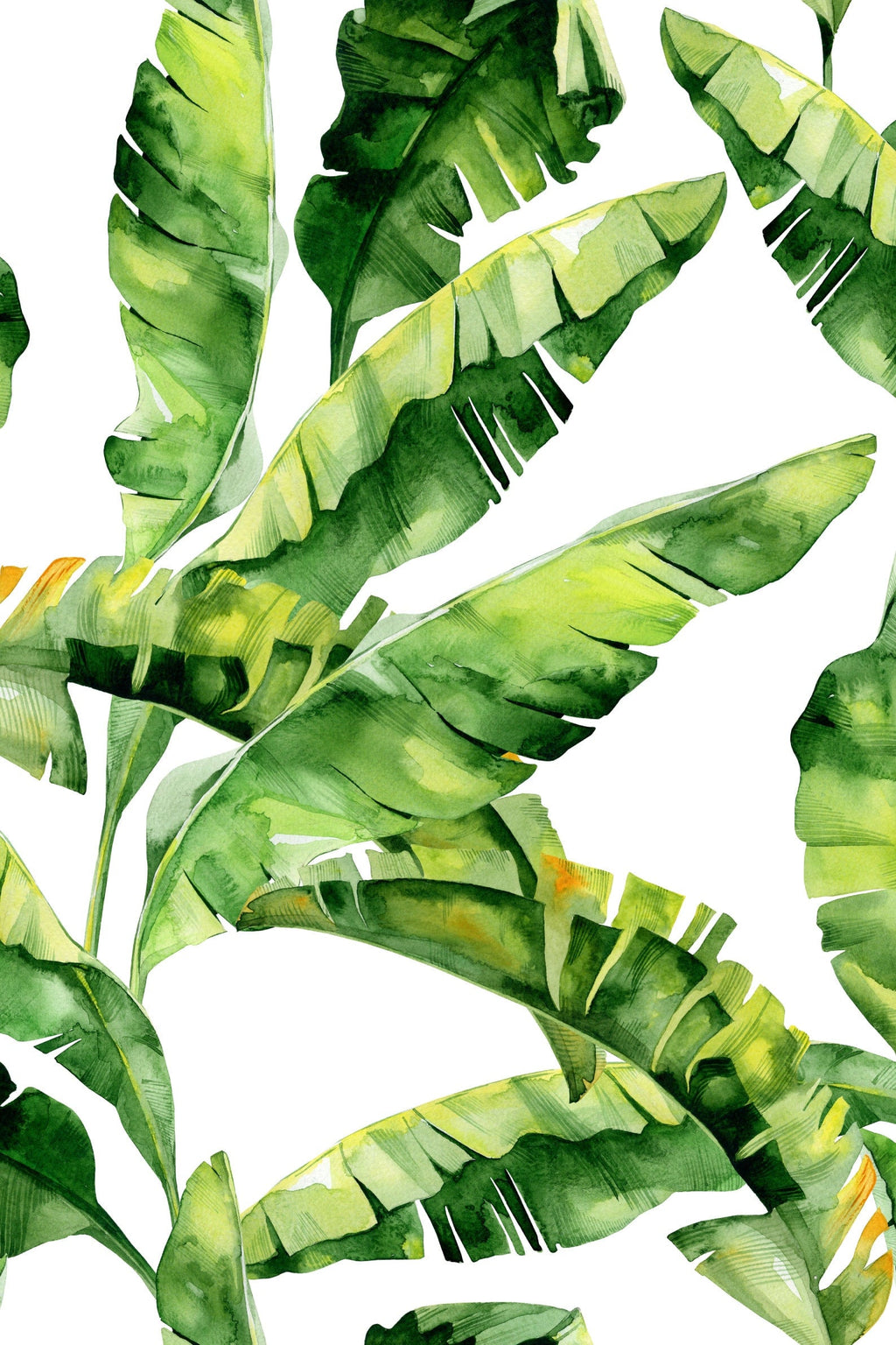 Banana Leaf Wallpaper Peel and Stick