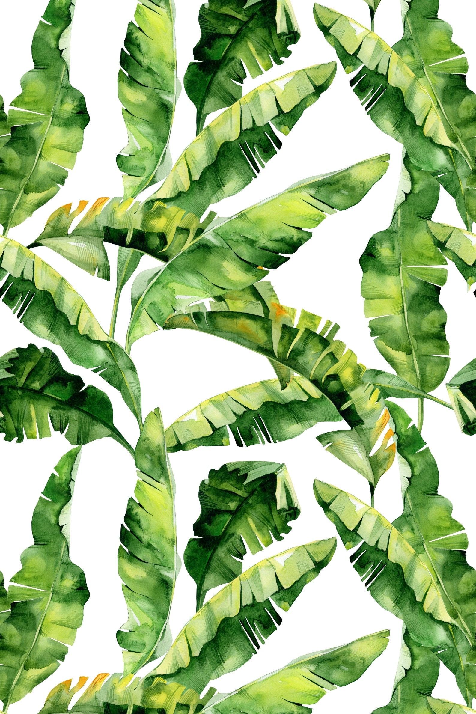 Banana Leaf Wallpaper Peel and Stick