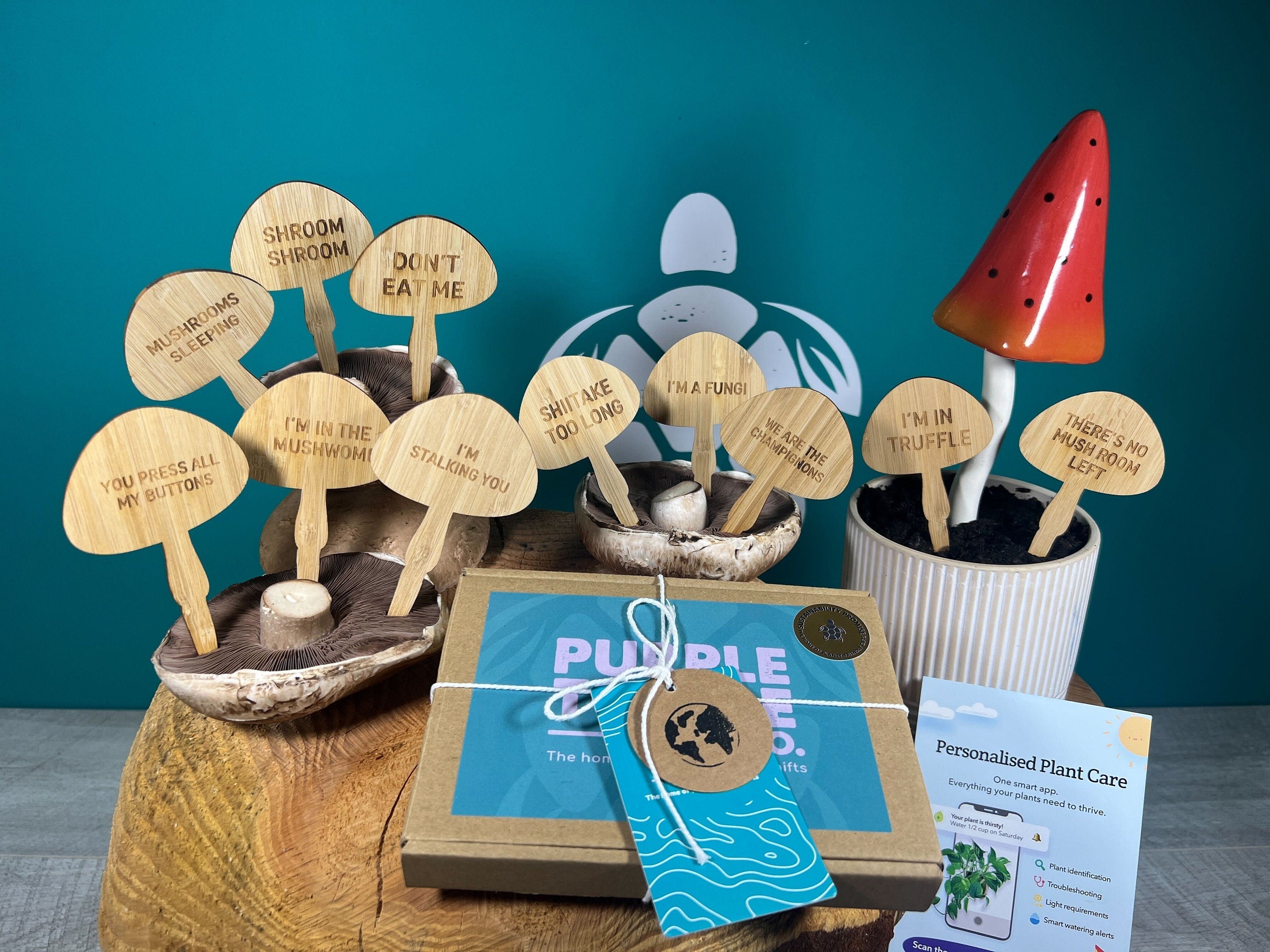 Mushroom Plant Stakes Gift Set