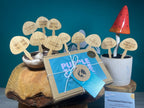 Mushroom Plant Stakes Gift Set