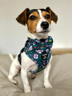 Self Care Design Dog Harness