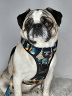 Supaw Strong™ 'Brush It Off' Utility Harness