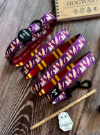 Harry Pawter Design Dog Lead