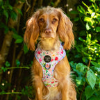 Ziggy's Secret Garden Design Dog Harness