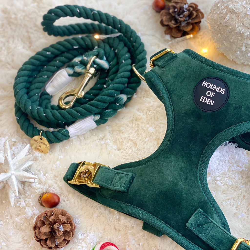 Olive Green Velvet Collar