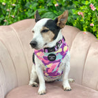 'Blush it Off' - Pink, Purple, Pastel Mint & Lemon Camo Pattern Dog Harness