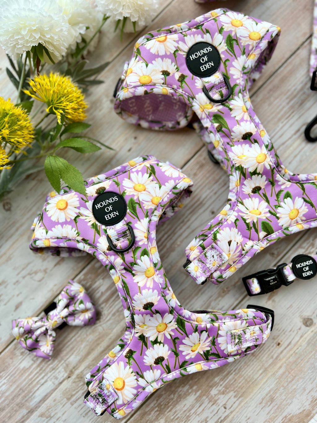 Daisy Dreams Design Dog Collar