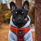 'Sammi' - Red & Grey Check Dog Harness