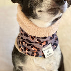Steel Leopard Dog Snood
