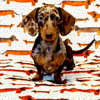 Sizzlin' Sausages Dog Snuggle Blanket
