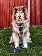 Supaw Strong™ 'Brush It Off' Utility Harness