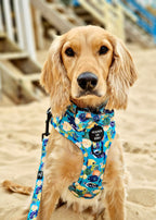Under The Sea Design Dog Collar
