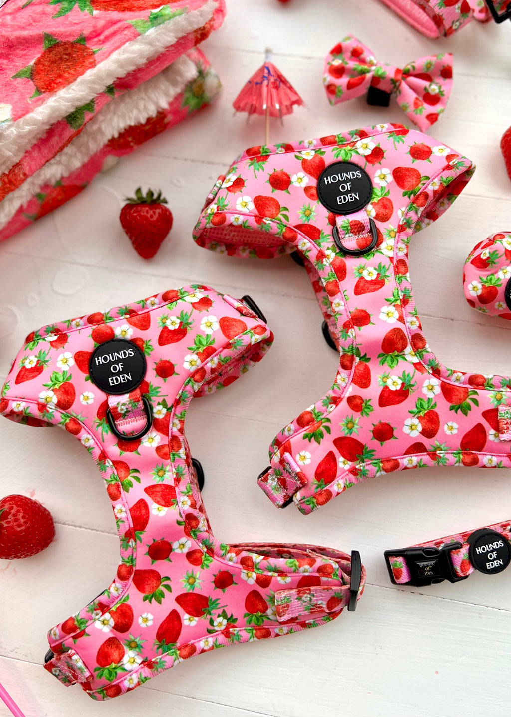 Strawberry Patch Design Dog Harness
