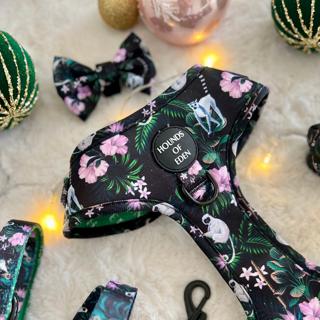 Midnight Madagascar Design Dog Collar