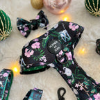 Midnight Madagascar Design Dog Collar