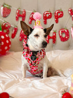 Strawberry Patch Design Dog Harness