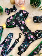 Midnight Madagascar Design Dog Collar