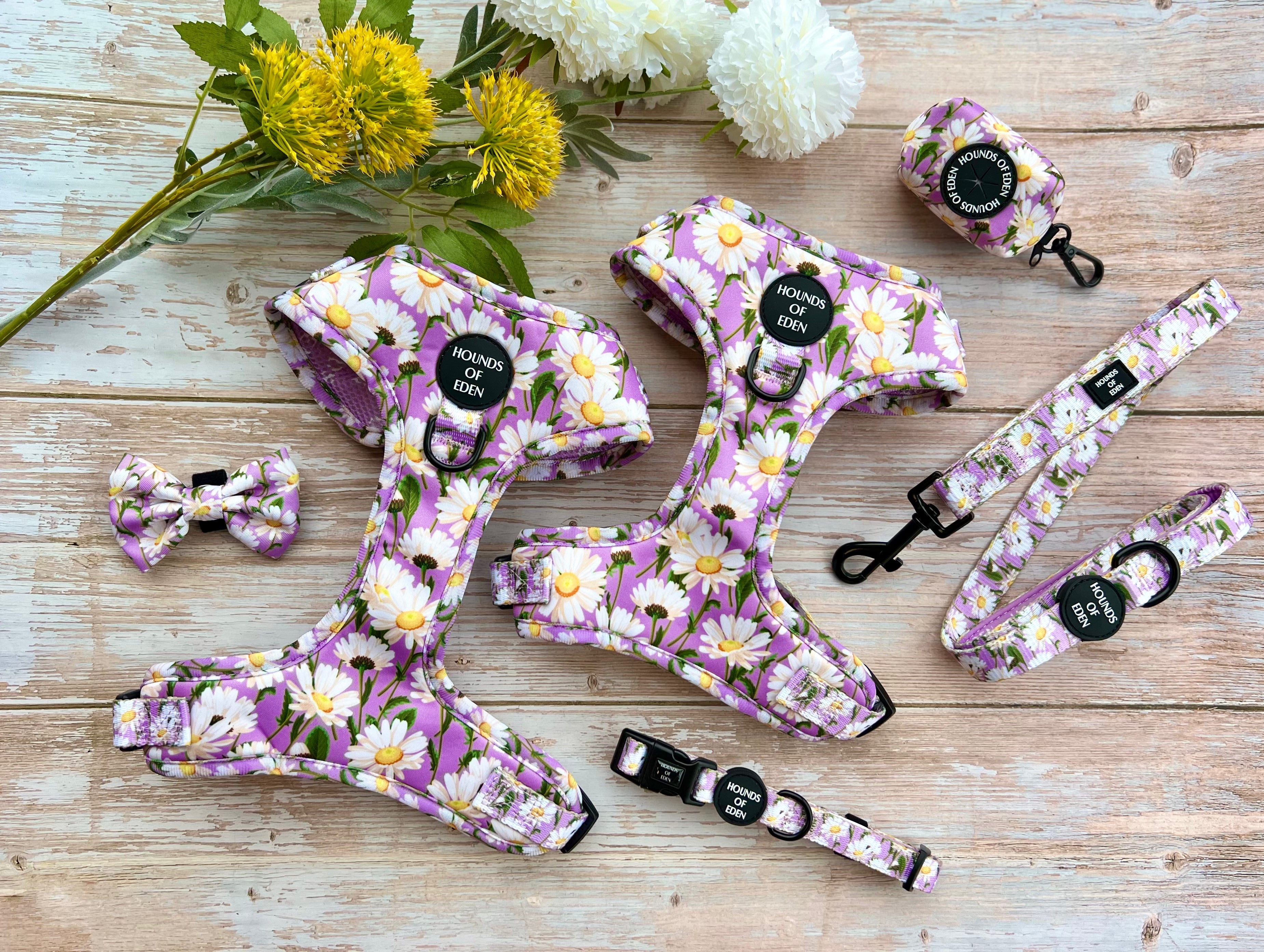 Daisy Dreams Design Dog Lead