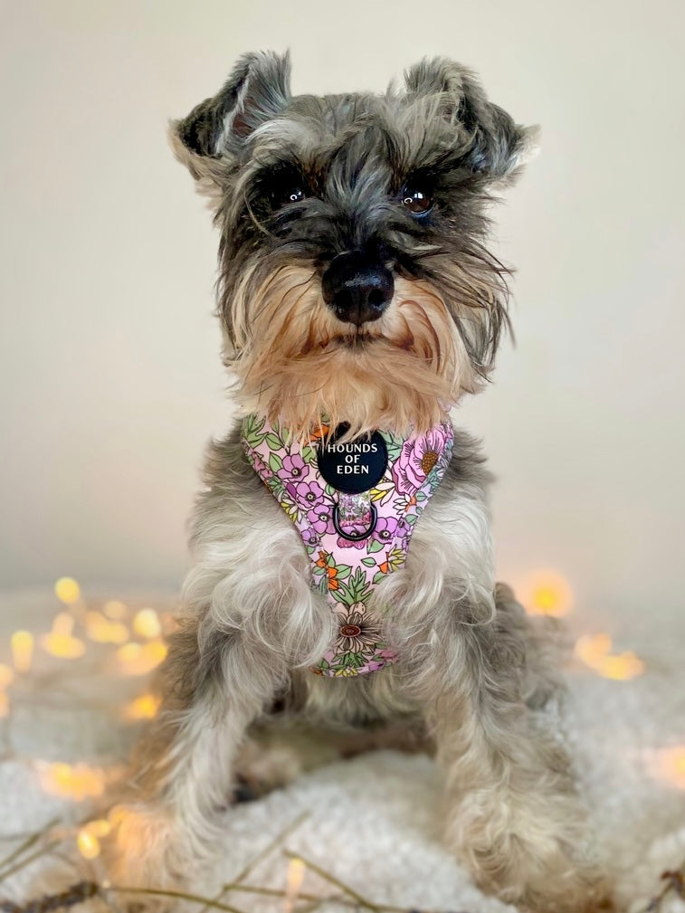 Wild Blossom - Design Poop Bag Holder