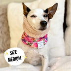 Florentina Dog Snood