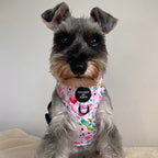 Ziggy's Secret Garden Design Dog Harness