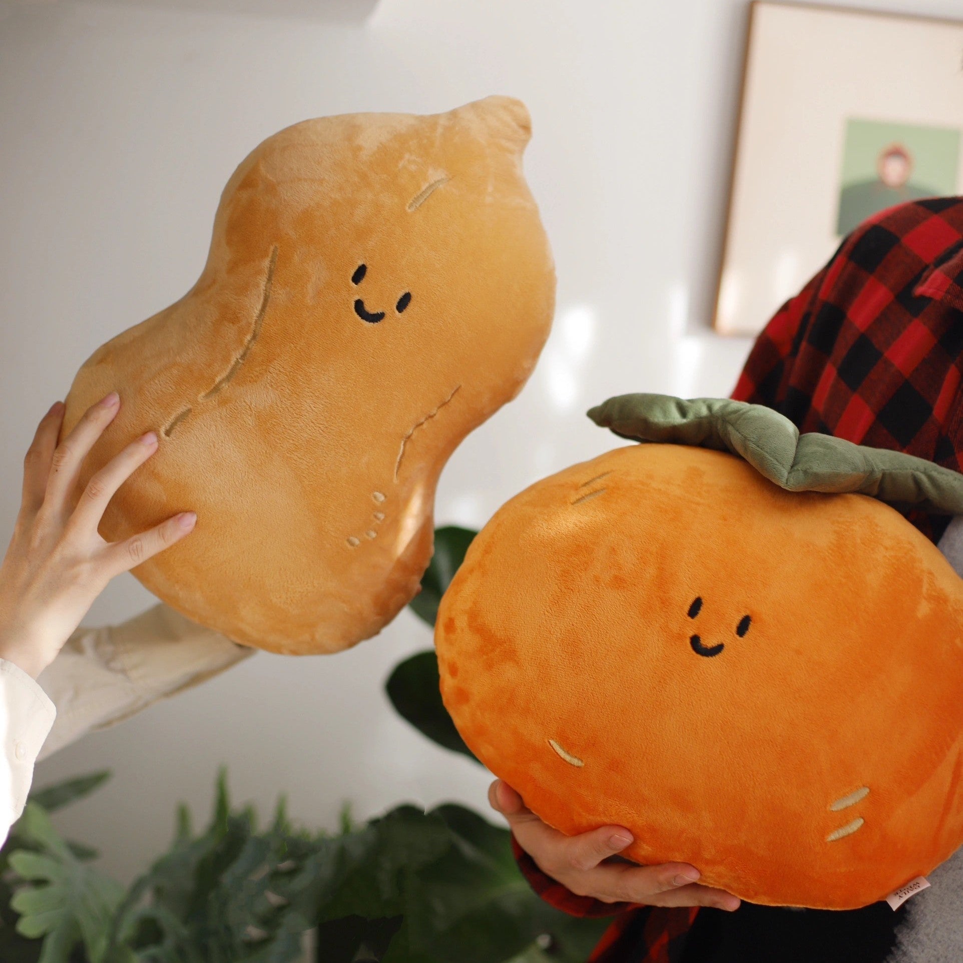 Daily White | Persimmon And Peanut Plush Pillow