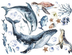 Ocean Animals Wall Decal for Kids and Nursery, Sticker Set, Dolphin, Turtle, Whale, Fishes, Seal, Corals, Watercolour, OCEAN Life
