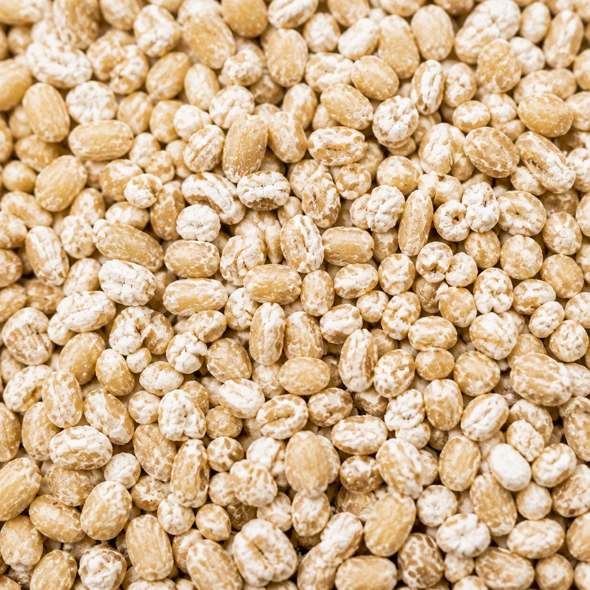 Infinity Foods Bulk Organic Pinhead Oats