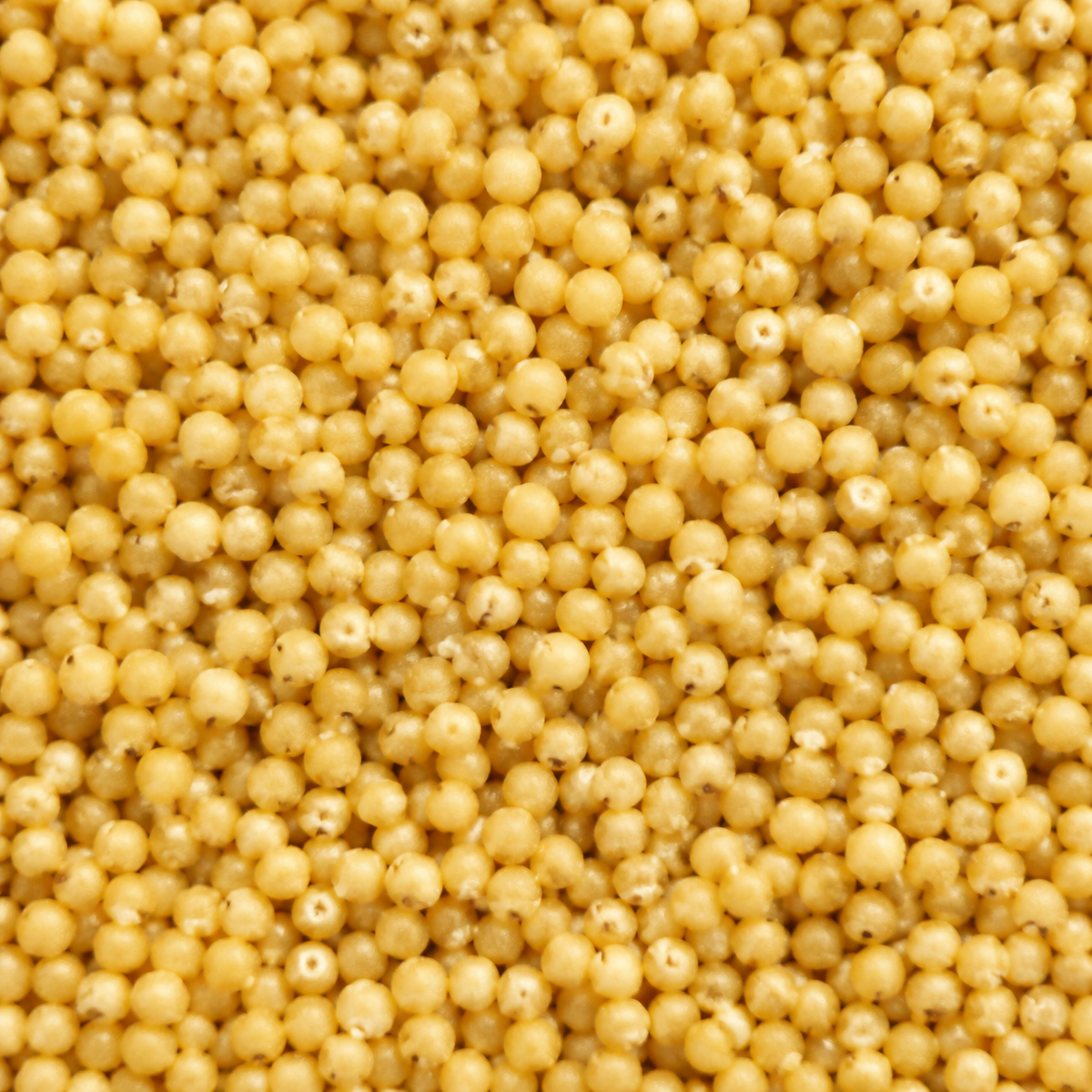 Infinity Foods Bulk Organic Millet