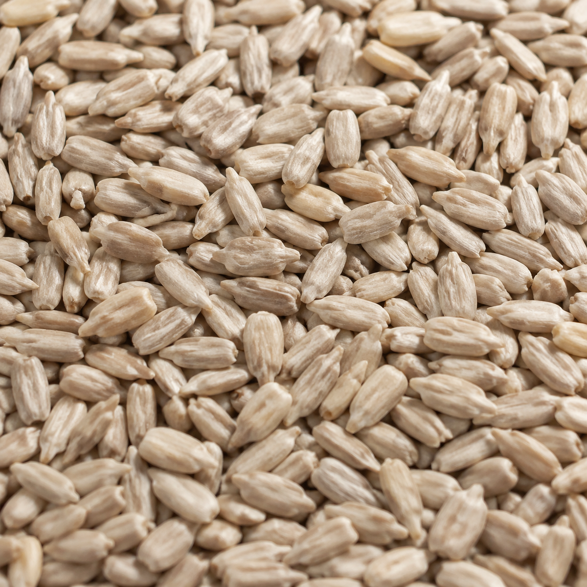 Infinity Foods Bulk Organic Sunflower Seeds