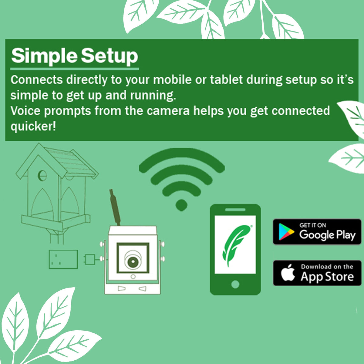 WiFi Hugo Bird Table HD Camera Pack