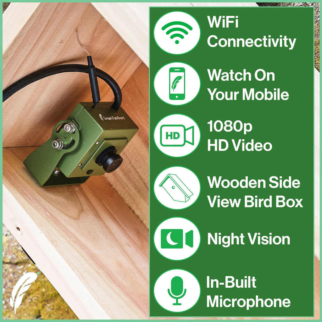 WiFi Side View Bird Box Starter Pack
