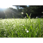 Irish Morning Dew - Luxury Irish Candle