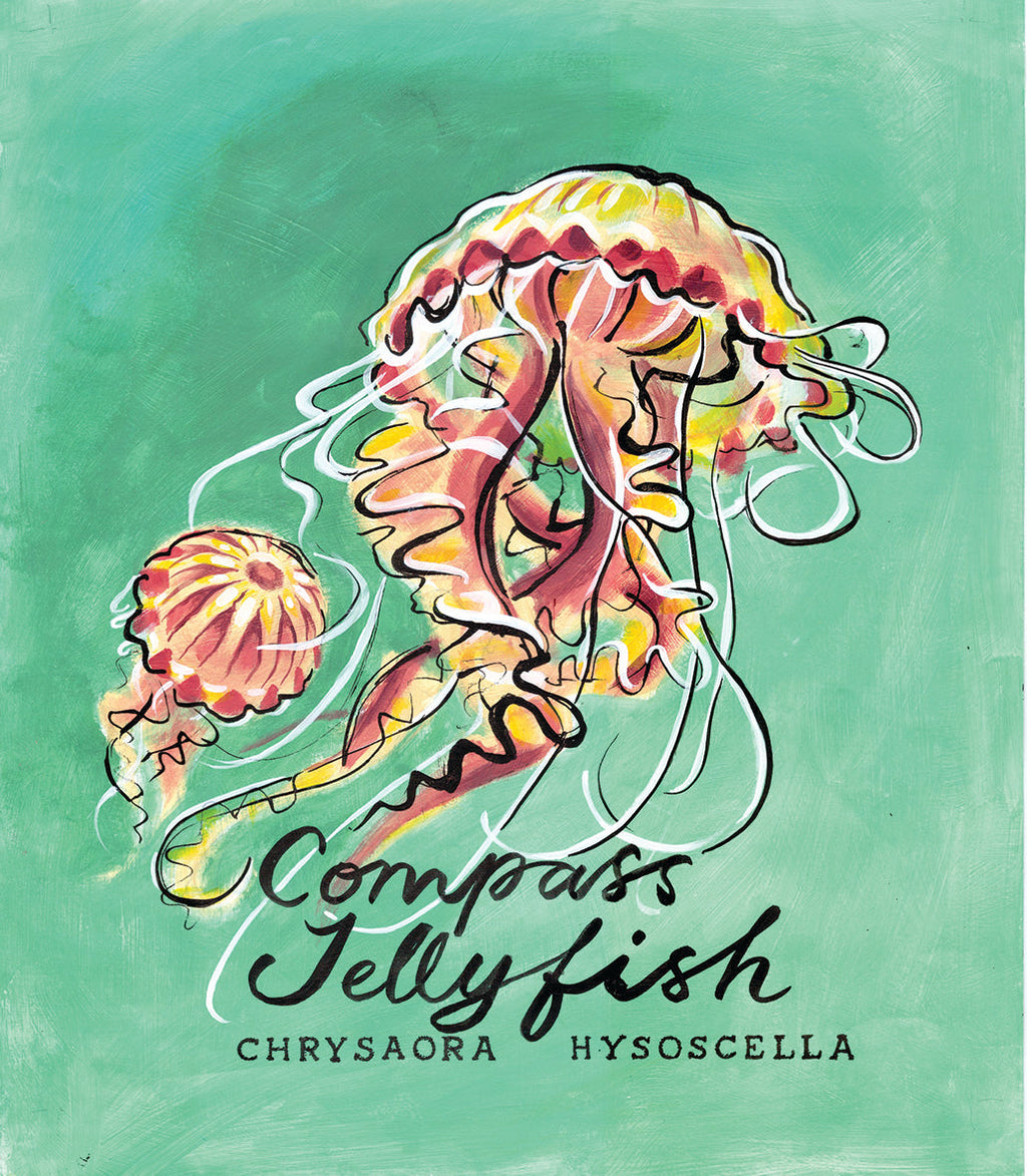 Jellyfish - Cornish Sea Life series -  Giclée Print