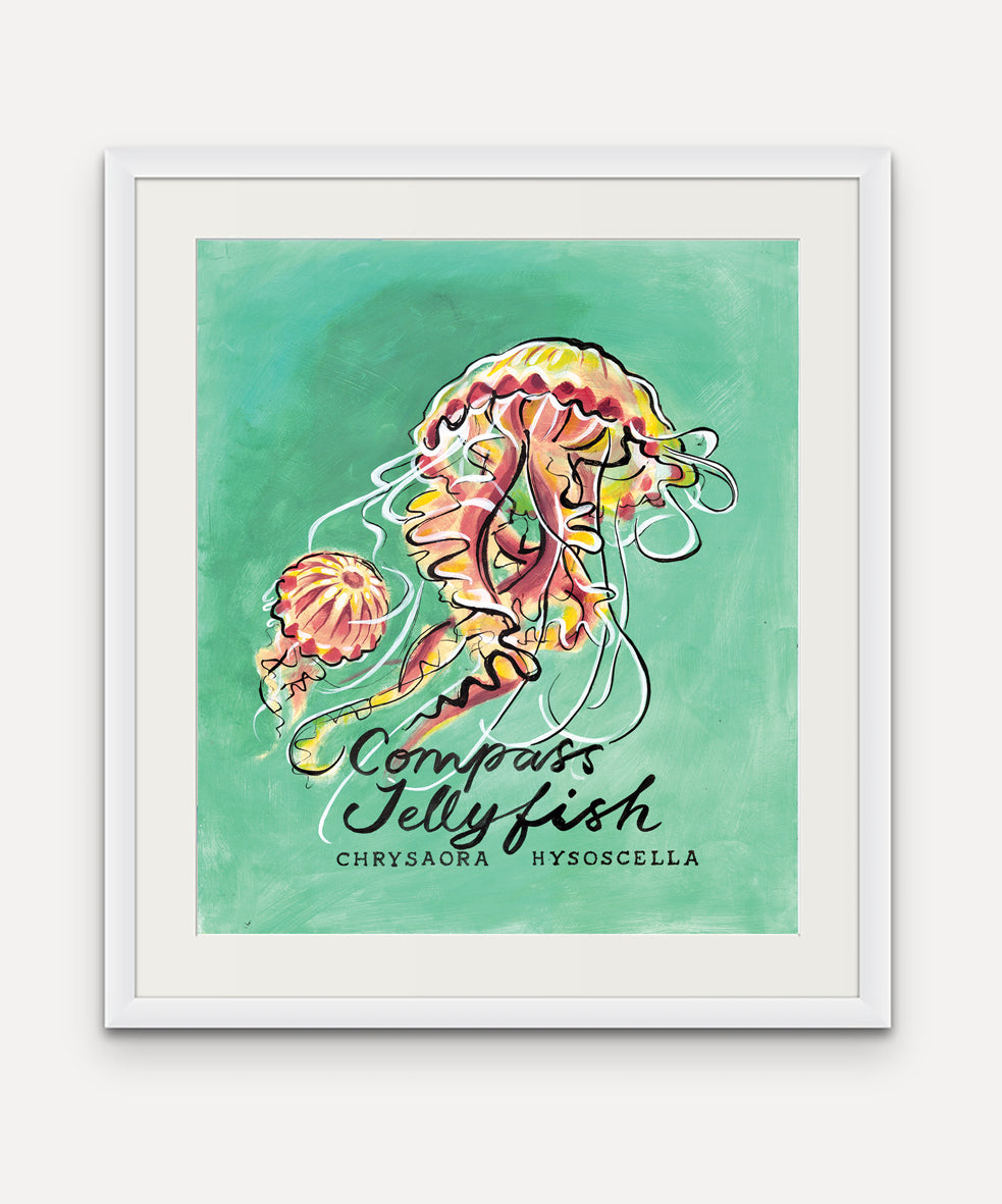 Jellyfish - Cornish Sea Life series -  Giclée Print