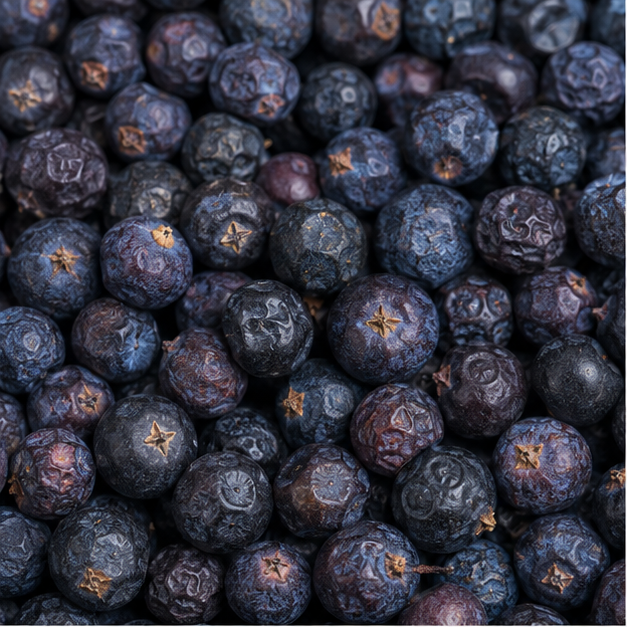 Juniper Berries