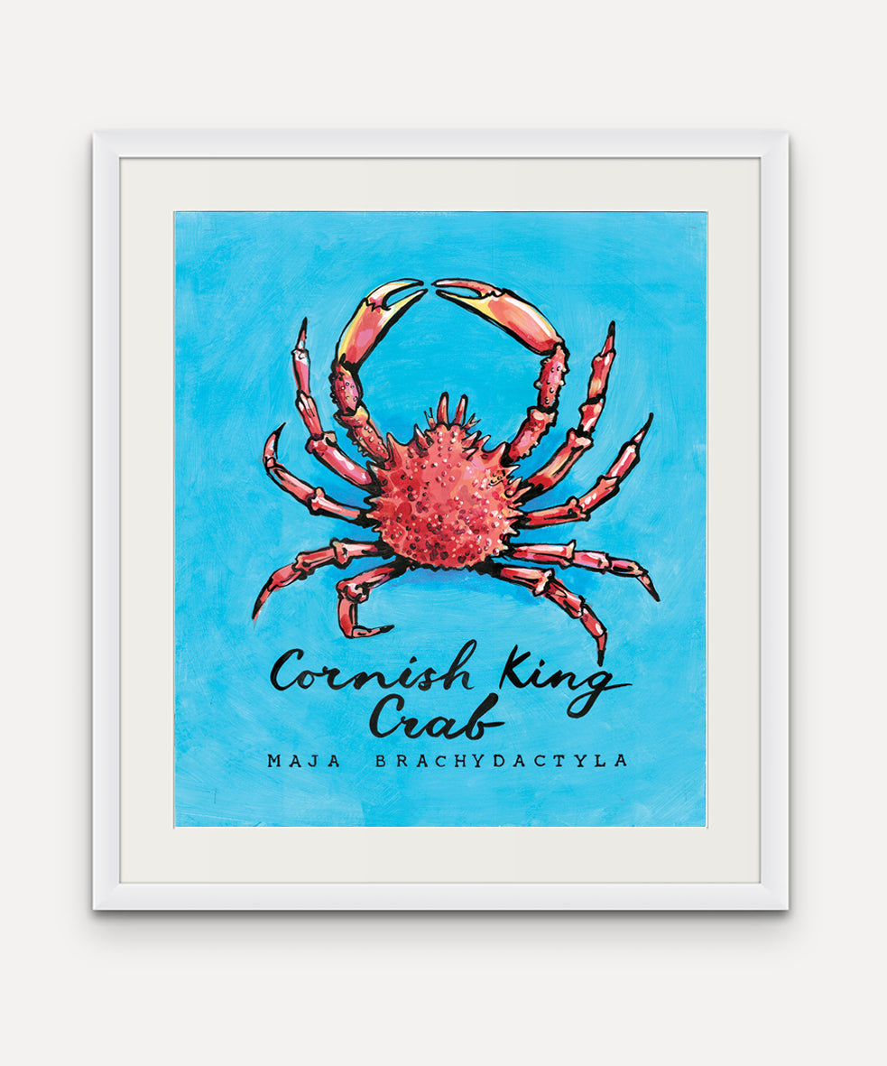 Cornish King Crab  - Cornish Sea Life Series -  Giclée Print