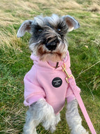 Dog Hoodie - Purple