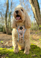 Bunny Tales - Blue, Dog Supaw Strong™ Lite Harness (XS-XL)