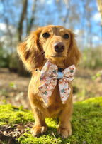 Bunny Tales - Blue, Sailor Bow Tie