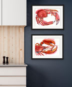 Spider Crab - Giclée Watercolour Print