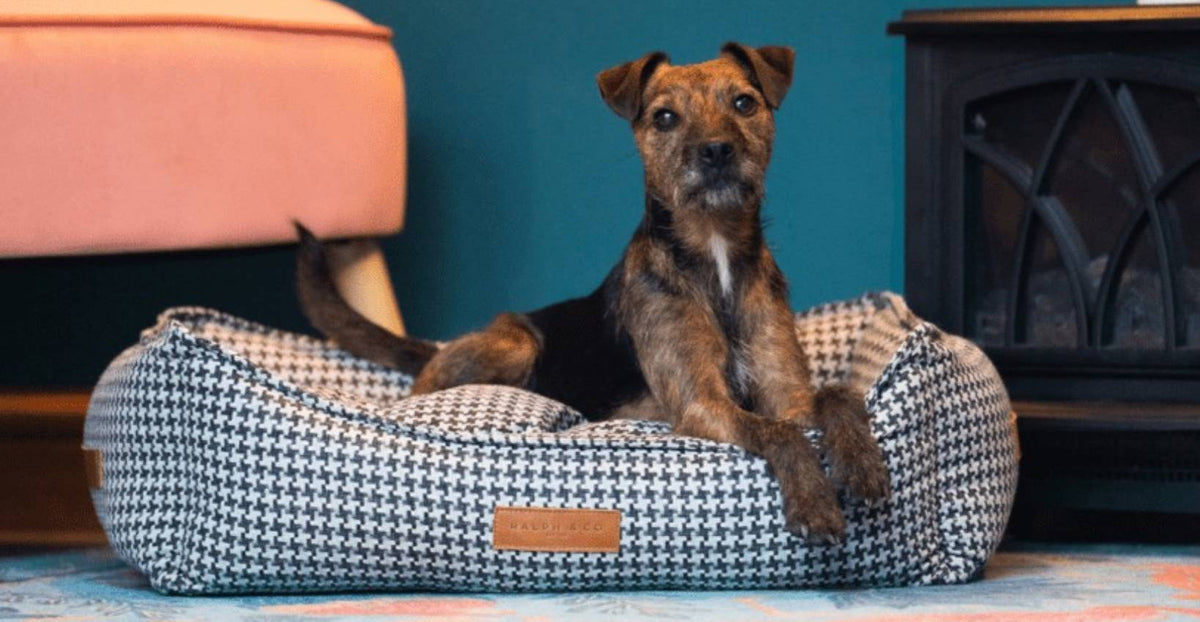- THE KENSINGTON | LUXURY HOUNDSTOOTH BED