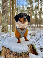 Dog Hoodie - Light Teal